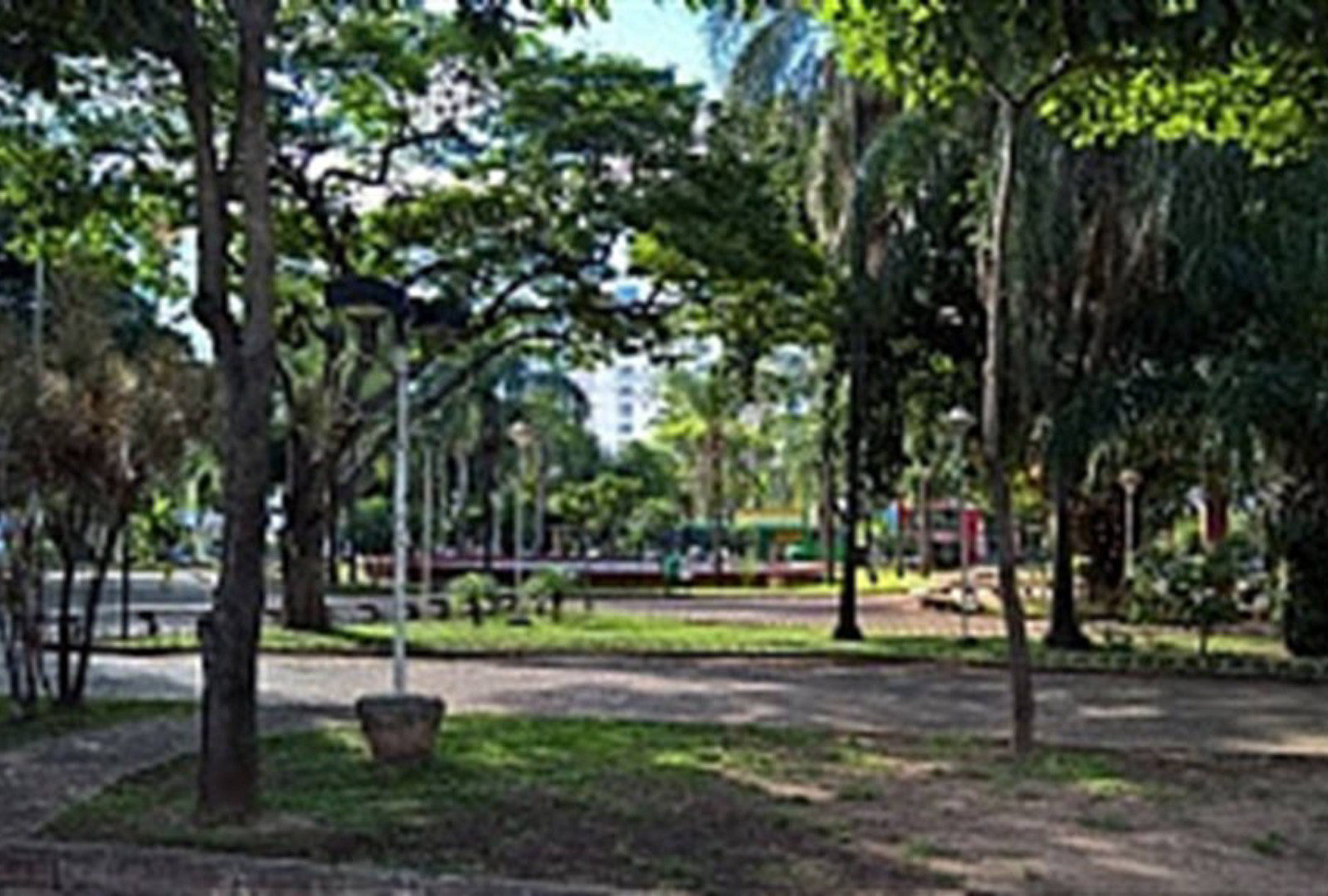 ARBORIZAÇÃO
